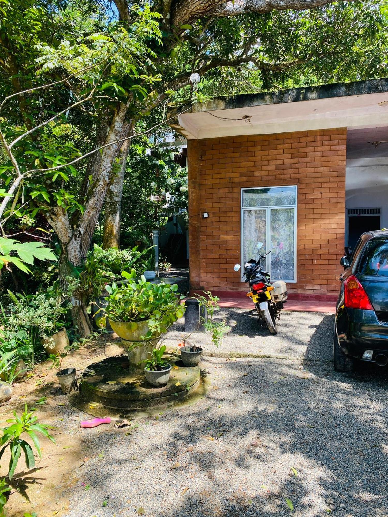 Little Mount Guest House Mirissa Exterior foto