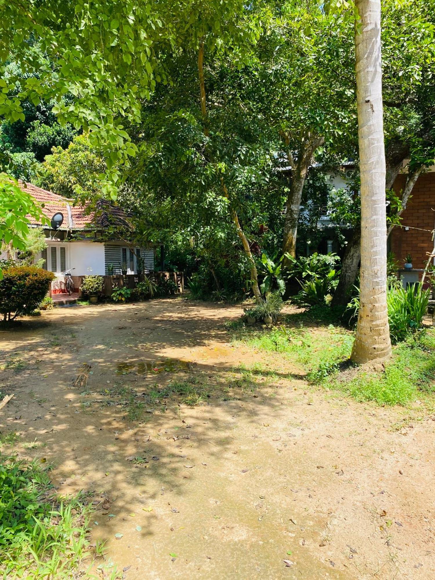 Little Mount Guest House Mirissa Exterior foto
